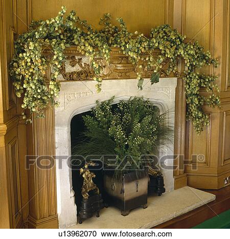 Close-up of hop garland on mantelpiece with fresh leaves in floral decoration in fireplace View Large Photo Image Stock Image - Close-up of hop garland on mantelpiece with fresh leaves in floral decoration in fireplace. Fotosearch