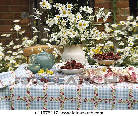 Close-up of jug of white daisies on table with blue checked cloth View Large Photo Image Stock Photo - Close-up of jug of white daisies on table with blue checked cloth. Fotosearch