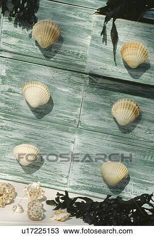 Close-up of pale green distressed painted chest-of-drawers with seashell handles View Large Photo Image Stock Image - Close-up of pale green distressed painted chest-of-drawers with seashell handles. Fotosearch