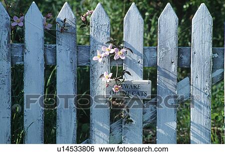 Close-up of pastel blue painted picket fence with wooden notice View Large Photo Image Stock Photograph - Close-up of pastel blue painted picket fence with wooden notice. Fotosearch