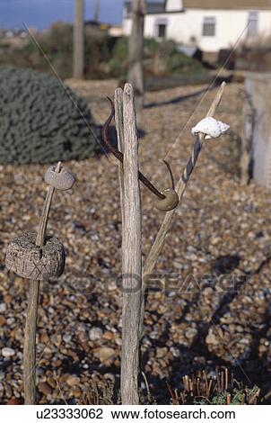 Close-up of pebbles on wooden posts set into gravel in coastal garden View Large Photo Image Stock Image - Close-up of pebbles on wooden posts set into gravel in coastal garden. Fotosearch