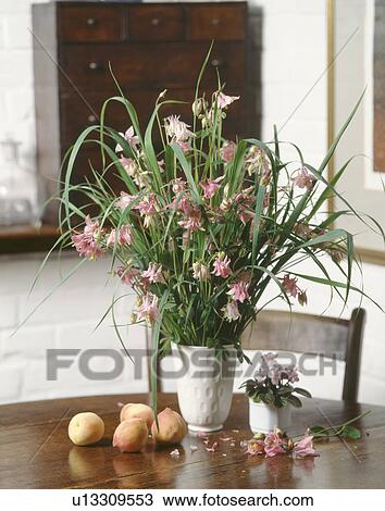 Close-up of pink flowers in white jug on polished dining table View Large Photo Image Stock Image - Close-up of pink flowers in white jug on polished dining table. Fotosearch
