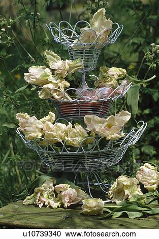 Stock Image - Close-up of pink tulip flowers on three-tiered wirework bowl. Fotosearch