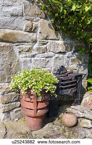 Close-up of plant in reclaimed chimney pot against stone wall View Large Photo Image Stock Image - Close-up of plant in reclaimed chimney pot against stone wall. Fotosearch
