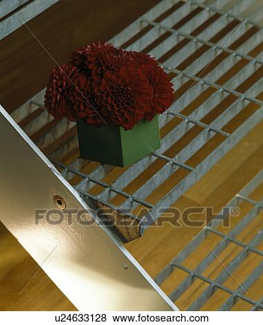 Close-up of red dahlias in green pot on metal stairs View Large Photo Image Stock Photo - Close-up of red dahlias in green pot on metal stairs. Fotosearch