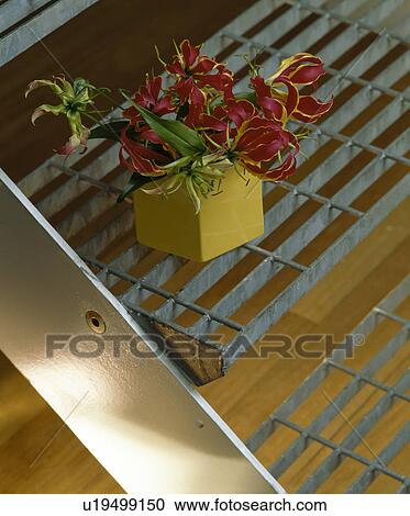 Stock Image - Close-up of red orchids in yellow pot on metal stairs. Fotosearch