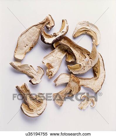 Close-up of sliced dried mushrooms View Large Photo Image Stock Photography - Close-up of sliced dried mushrooms. Fotosearch