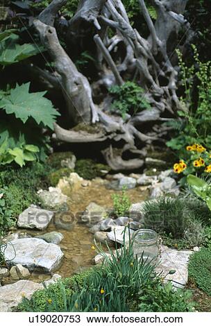 Close-up of small garden stream edged with stones near tree branches View Large Photo Image Stock Image - Close-up of small garden stream edged with stones near tree branches. Fotosearch