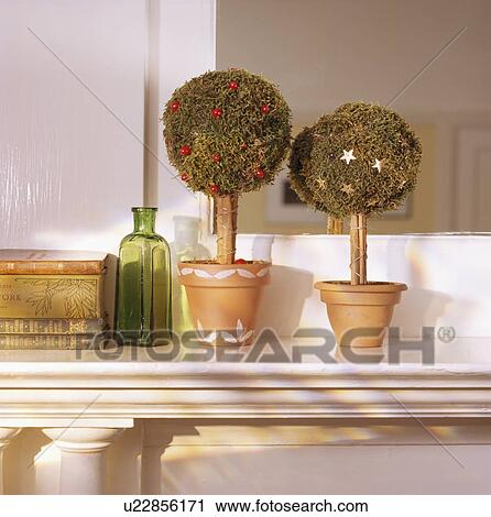 Close-up of small hand-made decorative topiary trees in terracotta pots View Large Photo Image Stock Image - Close-up of small hand-made decorative topiary trees in terracotta pots. Fotosearch