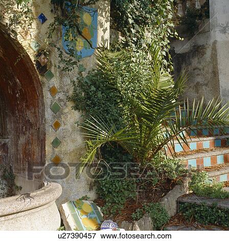Stock Photo - Close-up of small palm growing against stone wall decorated with ceramic tiles. Fotosearch
