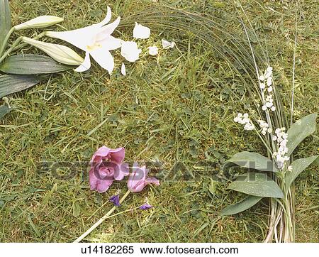 Close-up of sprays of fresh flowers on background of grass View Large Photo Image Stock Photography - Close-up of sprays of fresh flowers on background of grass. Fotosearch