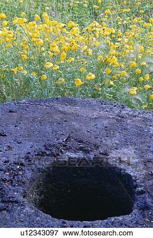 Stock Photo - Close-up of stone wheel with yellow helenium. Fotosearch
