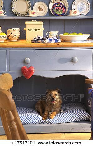 Close-up of terrier dog lying on cushion below dresser View Large Photo Image Stock Image - Close-up of terrier dog lying on cushion below dresser. Fotosearch