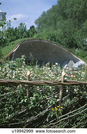 Stock Photo - Close-up of traditional laid fence with curved grass-roofed shed in background. Fotosearch