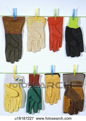 Close-up of variety of colourful leather gardening gloves pegged out on line View Large Photo Image Stock Photo - Close-up of variety of colourful leather gardening gloves pegged out on line. Fotosearch