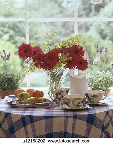 Close-up of vase of red gerberas on table with blue checked cloth and crockery View Large Photo Image Stock Image - Close-up of vase of red gerberas on table with blue checked cloth and crockery. Fotosearch