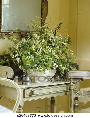 Close-up of white cow-parsley in natural flower arrangement in white dish on painted table View Large Photo Image Stock Image - Close-up of white cow-parsley in natural flower arrangement in white dish on painted table. Fotosearch