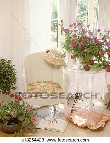 Close-up of white Lloyd Loom chair beside table with pot of red geraniums and white table-cloth in front of window View Large Photo Image Stock Image - Close-up of white Lloyd Loom chair beside table with pot of red geraniums and white table-cloth in front of window. Fotosearch