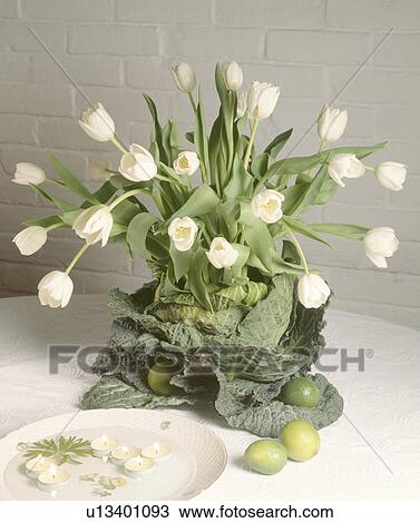 Stock Image - Close-up of white tulips and green cabbage in informal Spring floral arrangement. Fotosearch