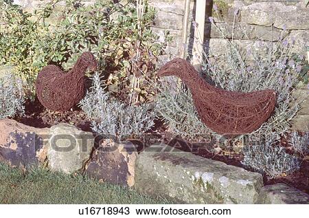 Close-up of wire chicken ornaments in garden border View Large Photo Image Stock Image - Close-up of wire chicken ornaments in garden border. Fotosearch