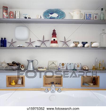 Stock Image - Collection of seashells and starfish on shelves. Fotosearch
