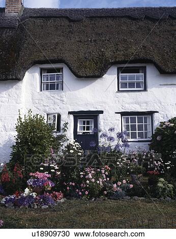 Stock Image -  Colourful mid-summer border of annuals and perennials in the front garden of a thatched cottage.. Fotosearch