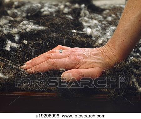 Compressing the hair using the flat of the hand. View Large Photo Image Stock Photograph - Compressing the hair using the flat of the hand.. Fotosearch