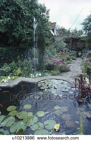 Stock Photograph - Fountain and ornamental pool in walled garden with paved path through herbaceous borders. Fotosearch
