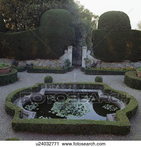 Fountain in curved pond edged with clipped box hedge in formal parterre garden with gravel paths and clipped shrubs View Large Photo Image Stock Image - Fountain in curved pond edged with clipped box hedge in formal parterre garden with gravel paths and clipped shrubs. Fotosearch