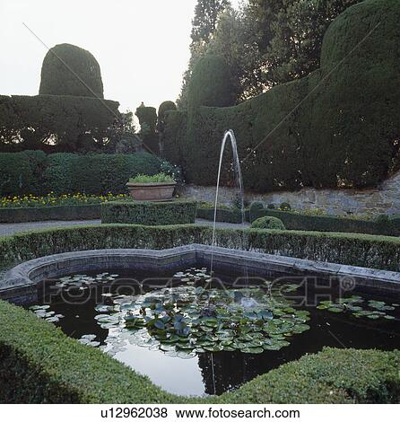 Fountain in curved pond edged with clipped box hedge in formal Italian parterre garden View Large Photo Image Stock Photo - Fountain in curved pond edged with clipped box hedge in formal Italian parterre garden. Fotosearch