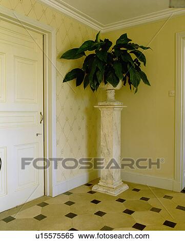Green houseplant on pedestal in traditional cream hall View Large Photo Image Stock Photography - Green houseplant on pedestal in traditional cream hall. Fotosearch