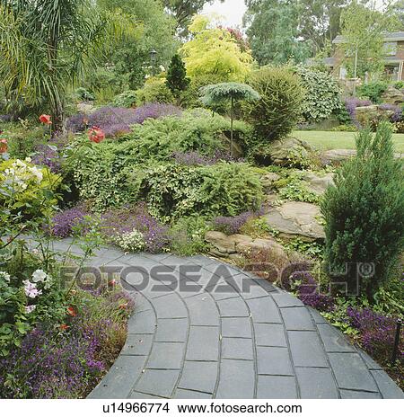 Grey paved path through rockery border in large country garden View Large Photo Image Picture - Grey paved path through rockery border in large country garden. Fotosearch
