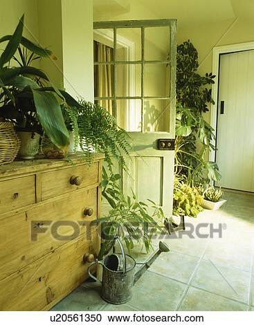 Houseplants in traditional cream hall View Large Photo Image Stock Image - Houseplants in traditional cream hall. Fotosearch