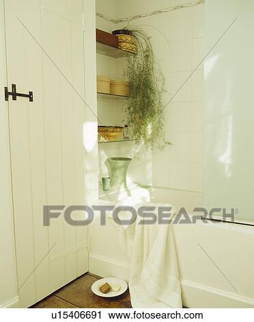 Houseplants on shelves above bath in white cottage bathroom View Large Photo Image Stock Image - Houseplants on shelves above bath in white cottage bathroom. Fotosearch