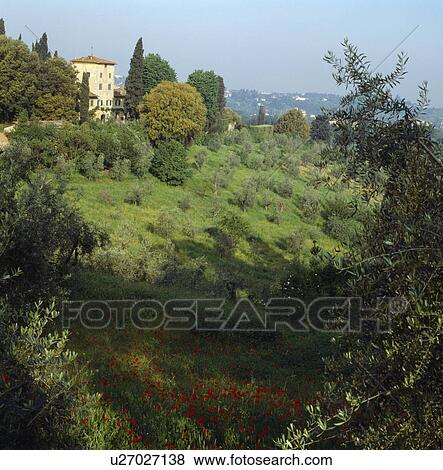 Italian villa with large hillside garden View Large Photo Image Stock Photo - Italian villa with large hillside garden. Fotosearch