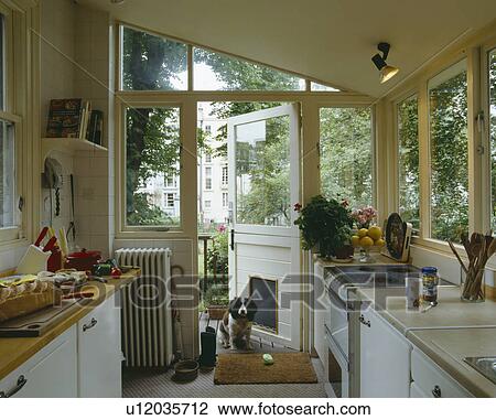 Kitchen Extension with Pet Dog View Large Photo Image Stock Image - Kitchen Extension with Pet Dog. Fotosearch