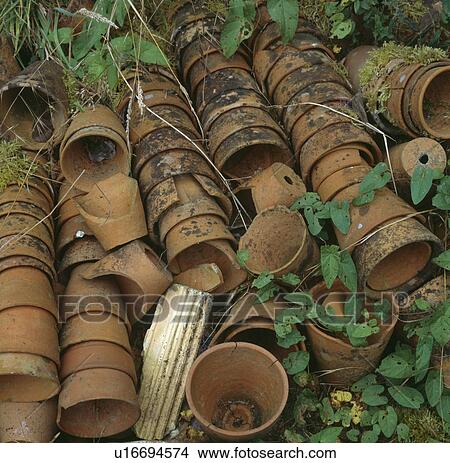 Large collection of small terracotta pot in a negleted store. View Large Photo Image Picture - Large collection of small terracotta pot in a negleted store.. Fotosearch
