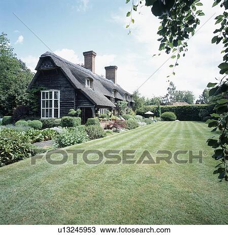Stock Image - Large lawn and flower borders in front of thatched country cottage. Fotosearch