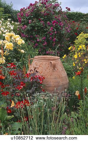 Stock Image - Large pithoi pot in summer garden border with yellow and red roses. Fotosearch
