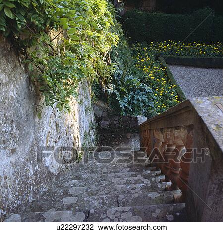 Looking down old stone steps to formal garden View Large Photo Image Stock Image - Looking down old stone steps to formal garden. Fotosearch