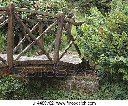 Lush green ferns growing beside rustic bridge over small stream in country garden View Large Photo Image Stock Image - Lush green ferns growing beside rustic bridge over small stream in country garden. Fotosearch