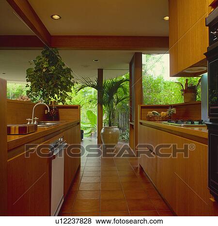 Stock Photo - Modern kitchen with fitted wood units and large windows with view of tropical garden. Fotosearch