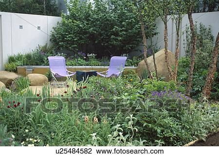 Modern mauve chairs on patio in town garden with summer borders and white walls View Large Photo Image Stock Image - Modern mauve chairs on patio in town garden with summer borders and white walls. Fotosearch