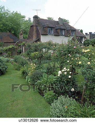 Narrow perennial border backed with rose covered rustic fence in a cottage garden. View Large Photo Image Stock Photograph - Narrow perennial border backed with rose covered rustic fence in a cottage garden.. Fotosearch