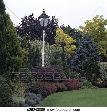 Stock Photo - Old-fashioned lamp-post in shrub border in country garden. Fotosearch
