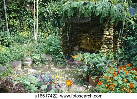 Orange nasturtiums beside rustic woven willow arbour in summer garden View Large Photo Image Stock Image - Orange nasturtiums beside rustic woven willow arbour in summer garden. Fotosearch