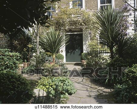 Palm trees in pots in front garden of Victorian townhouse with paved path View Large Photo Image Stock Photography - Palm trees in pots in front garden of Victorian townhouse with paved path. Fotosearch