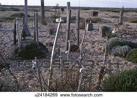 Pebbles on wooden posts set into gravel in coastal garden View Large Photo Image Stock Photo - Pebbles on wooden posts set into gravel in coastal garden. Fotosearch