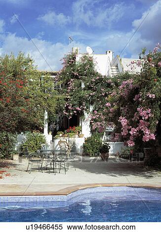 Pink climbing roses on small Mallorcan house with patio and swimming pool View Large Photo Image Stock Photography - Pink climbing roses on small Mallorcan house with patio and swimming pool. Fotosearch