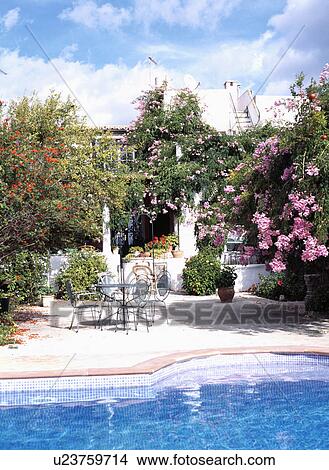 Picture - Pink roses and metal chairs and table on patio beside swimming pool in front of small Majorcan house . Fotosearch